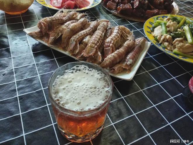 马宁有望再度主哨世界杯!获FIFA充分肯定,淘汰赛大概率亮相