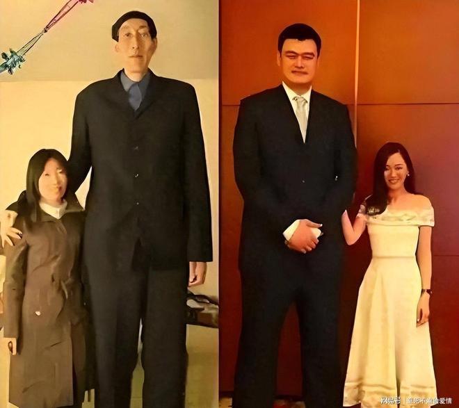 勒布朗去哪儿？森林狼亮出三张“人情牌”死磕骑士勇士